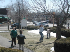 DSCN1882